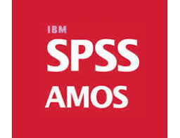 IBM SPSS Amos 31.0.0