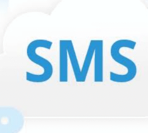 Bonrix Express SMS Edition Full Version