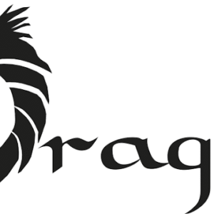 Dragon Vision 1.12.0 Latest Update
