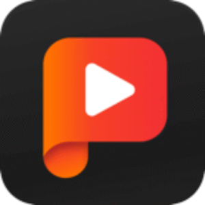 Playit Live 2.17