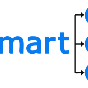 SmartPLS Professional 4.1.1.8 For Windows (1 PC)